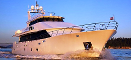 Group Yacht Charters Baja, Boats rentals, Cabo San Lucas, mexico
