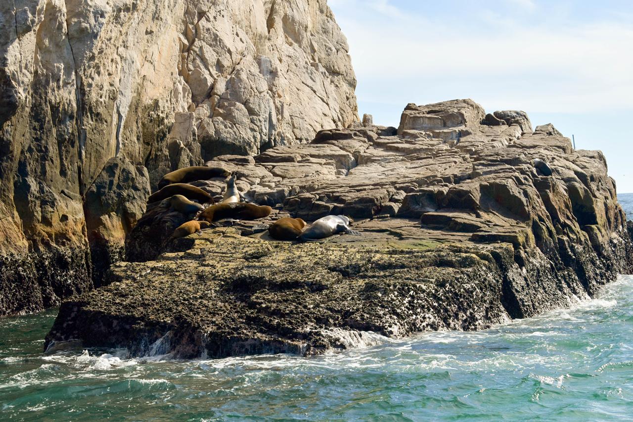 Sea lions resting on the rocks at Land's End in Cabo San Lucas